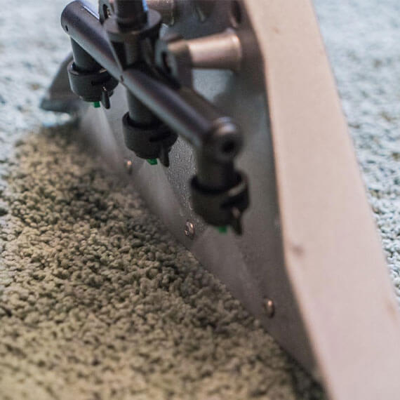 rug cleaning services