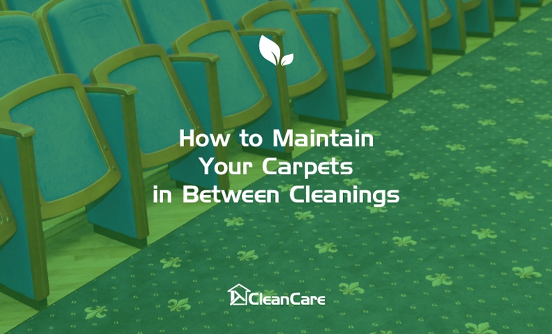 How to maintain your carpets in between cleanings