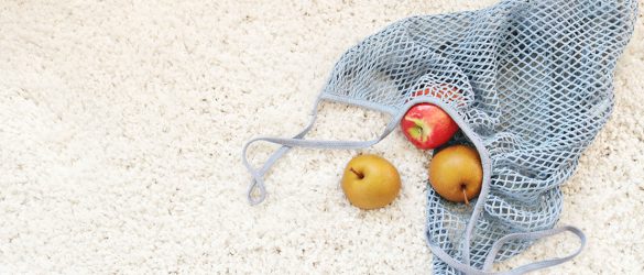 Environmentally friendly carpet cleaning services