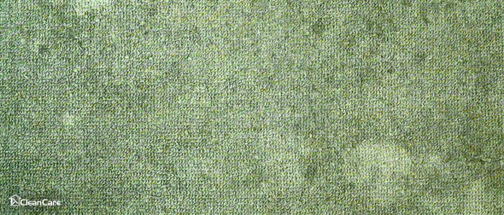 CArpet Trap Allergens