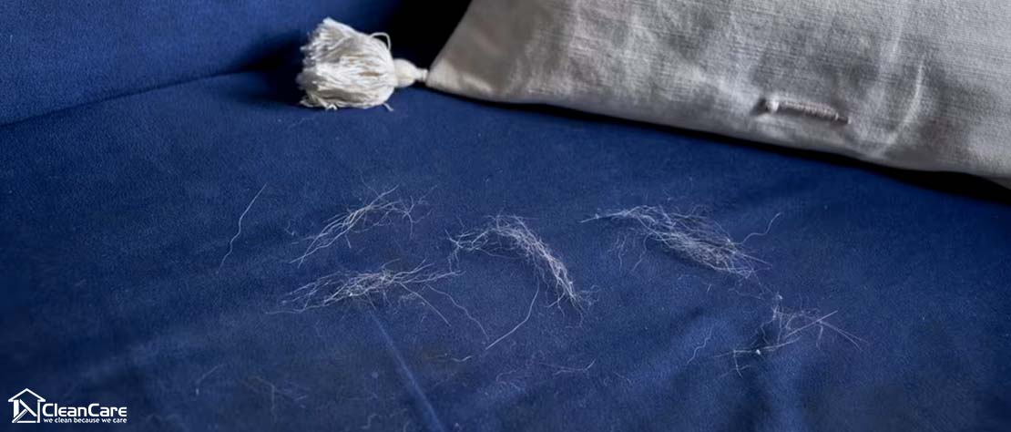 5 Practical Tips To Clean Up Pet Hair Around Your House
