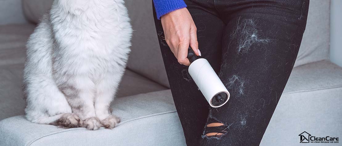 Sofa cleaning Use a lint roller to remove pet hair