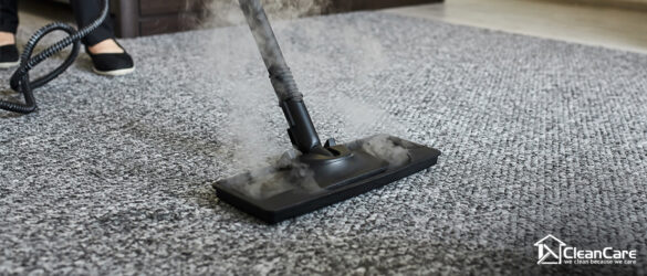 What Are The Common Culprits Of Carpet Odour