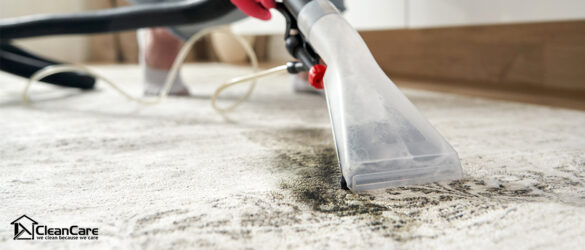 How professionals handle both rug and carpet cleaning