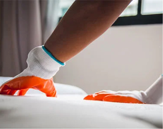 Pre-inspection before mattress cleaning services