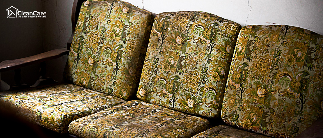 Old, dirty sofa with strong odors on a couch.